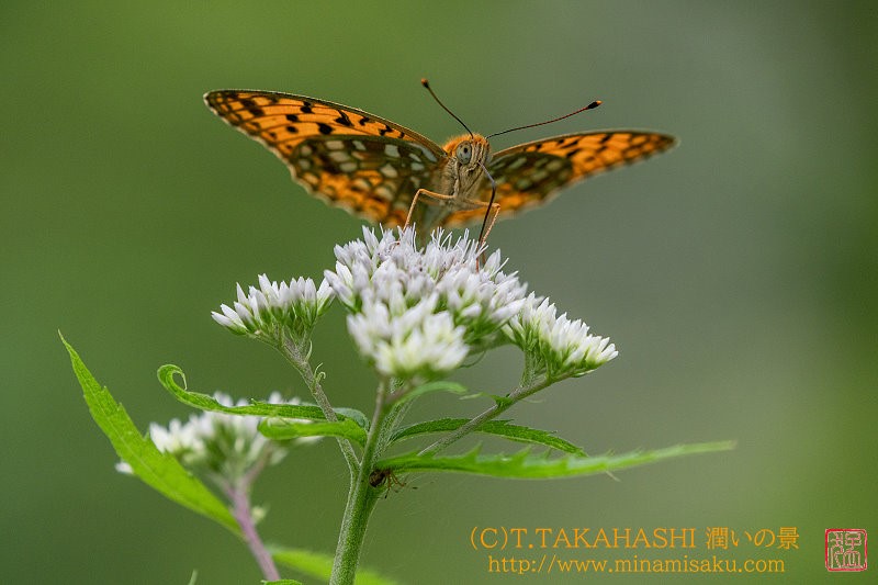 ../Images/7R240713 (579).jpg